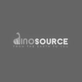 dinosource - Cubix Digital Client